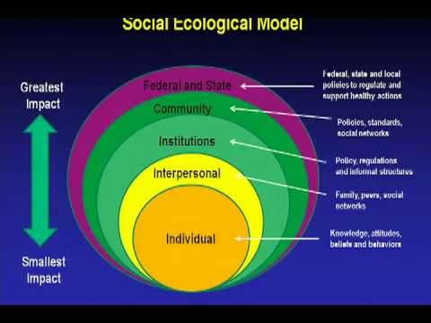 William H. Dietz, M.D., Ph.D., Keynote Address on Obesity at TAMEST 2012 Annual Conference