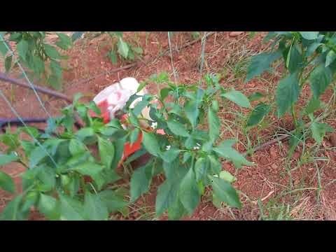 bax b-9520 φρέζα ..