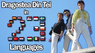 Musik-Video-Miniaturansicht zu Dragostea Din Tei (In 23 Languages) Songtext von Lingualizer