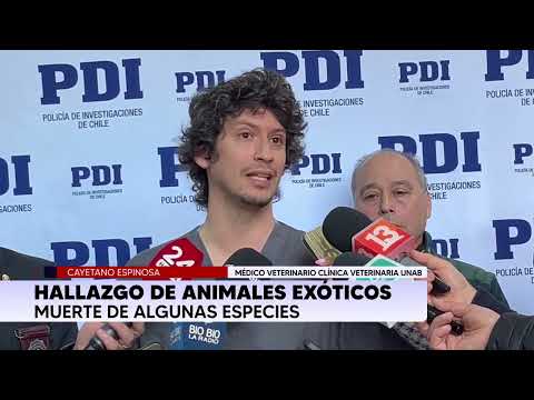 PDI rescata 25 animales exóticos en Coronel: estaban desnutridos y en condiciones precarias