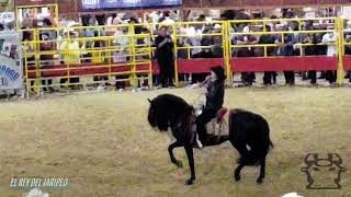 ME GUSTA TENER DE A DOS - SE CANSO DE ESPERAR - UNA ROSA Y UN BESO  - EL CHAPO DE SINALOA