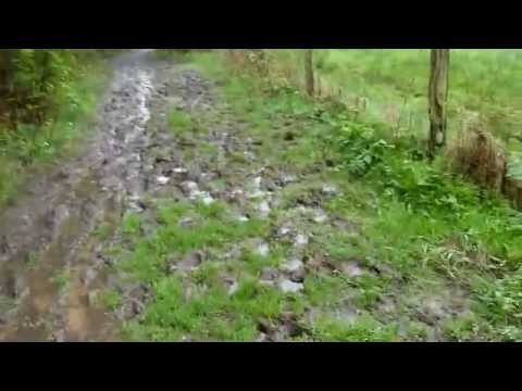 Eifelsteig  3. Etappe Roetgen - Monschau