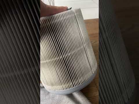 Blueair 411i Max Review