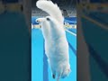 Cat – High Dive "10/10 landing from this fearless feline!" #CatOlympics #DivingCat #AIMagic