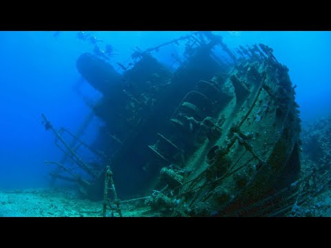 Divers Find A Tube On An Ancient Shipwreck With Contents That Shouldn’t Even Be Possible