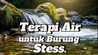 Download lagu Suara air sungai untuk terapi burung stress - Relaksasi Burung - Terapi burung macet- AMPUH ❗ mp3