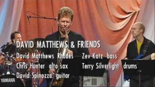 Manhattan Jazz Orchestra - CAN'T HELP FALLING IN LOVE