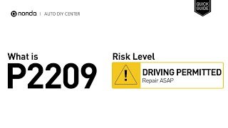 Meaning of OBD p2209