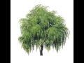 Herta Marshall - Down in the Willow Garden 