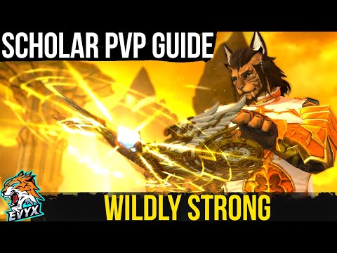 Ultimate Scholar PvP Guide! DESTROY YOUR ENEMIES!