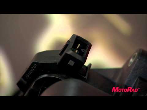 Motorad in the Automotive Market