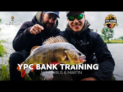 Is THIS the perfect tournament spot?! - YPC Bank Training | Westin Fishing (German)