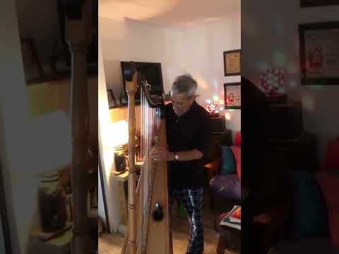 Henry Rubio “El magistral” - Quinta Anauco