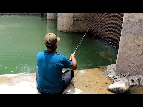 AWSOME fishing|fisherman catching defrent fishes with small hook|