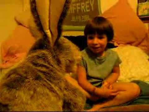 Hartley Hare gets old