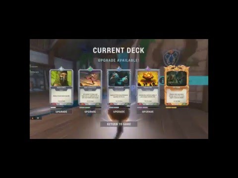 Paladins - Random Moments