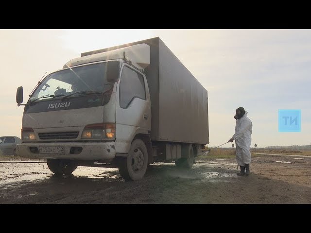 Татарстанские ветеринары на границе с Башкирией развернули 25 грузовиков с мясом и молоком