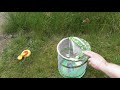 5 Little Butterflies Song