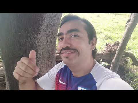 348- FORÇA PRESENCIAL ENERGOSSOMÁTICA.