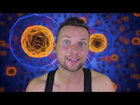 ROH VEGAN AM LIMIT DIE ABRECHNUNG! Finger hin zu Liposomalen Nahrungsergänzungsmitteln