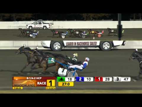 Meadowlands November 15, 2014 - Race 1 - Melady's Monet