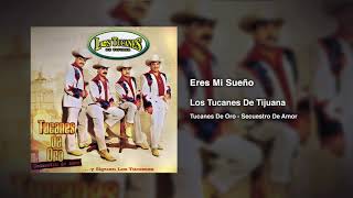 Eres Mi Sueño – Los Tucanes De Tijuana (Audio Oficial)
