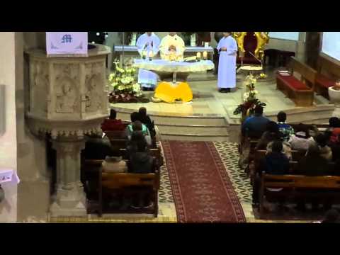 JKS 91 - Veselosť veľká