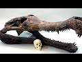 10 животных, которые были страшнее динозавров