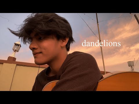 dandelions cover