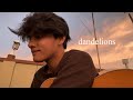 Dandelions Cover