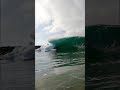POV: You are Swimming In The Ocean and See This…