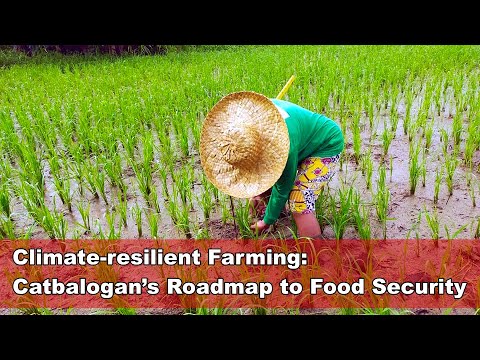 Climate-resilient Farming: Catbalogan’s Roadmap to Food Security