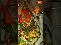 హనుమాన్ జయంతి శుభవేళ కొండగట్టు అంజన్న దివ్య దర్శనం #hanumanjayanti #kondagattuanjanna #bhakthitv - Video