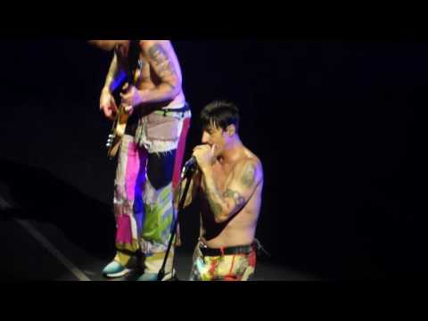 Red Hot Chili Peppers - This Ticonderoga
