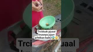 Download lagu Trciduuk pjuaal hrusnya jujurr prhtikan baik2😱😳 #fypviral #fypyoutube mp3