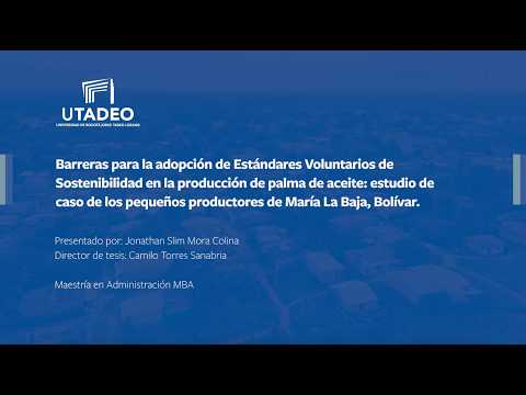 Barreras para la adopción de Estándares Voluntarios de Sostenibilidad en la producción de palma
