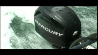 Passeio de Catamarã - Paulo Afonso - 14/03/2015 - 11h00