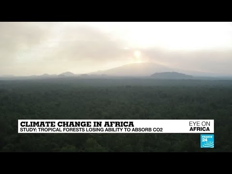 Climate change in Africa: tropical forests losing ability to absorb carbon dioxide