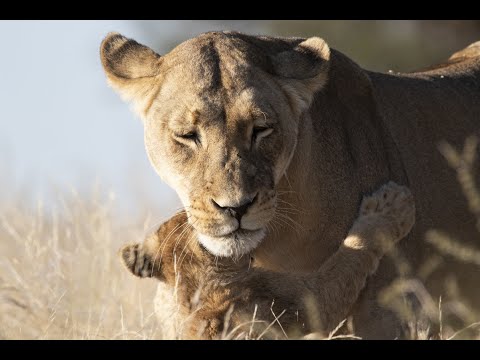 Kgalagadi May 2022 Part 2