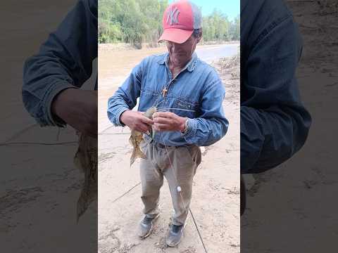 pesca con mi papá en aguas calientes jujuy rio Lavayen rancho Dionisio 🎣🏞️