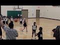Summit Lake Vs Ed Davis Game 1 Akron Rec 8 10