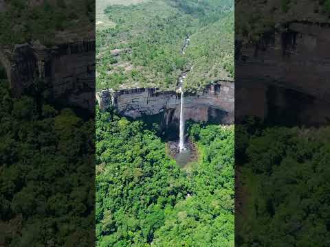 Um espetáculo bem diante dos meus olhos 😱