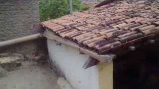 preview picture of video 'No quintal da Minha Casa Encanto-RN'