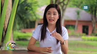 ประโยชน์ของค้างคาว