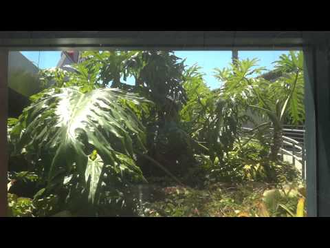 Crappy US Hydraulic Elevator - Ralph's - Mission Blvd. - San Diego, California