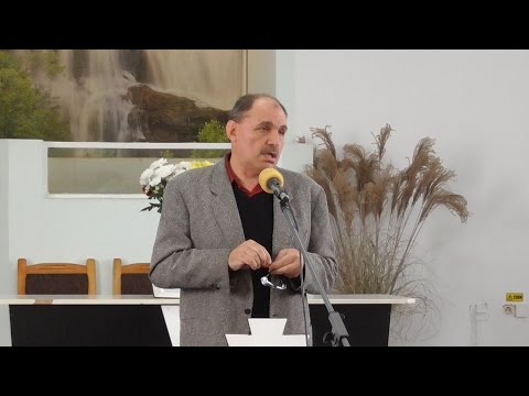 Marturie Milica Tofan