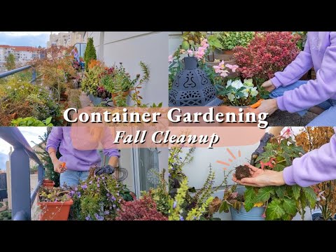 , title : 'Container Gardening - Fall Cleanup and Plant Care'