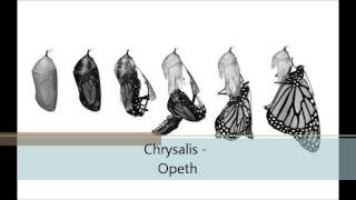 Opeth - Chrysalis