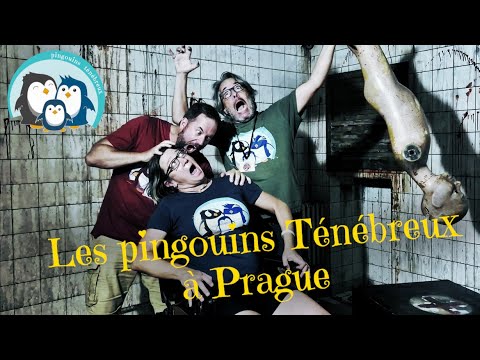 Aperçu de la vidéo