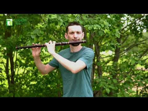Mozart - Humoresque - on irish flute rosewood D key